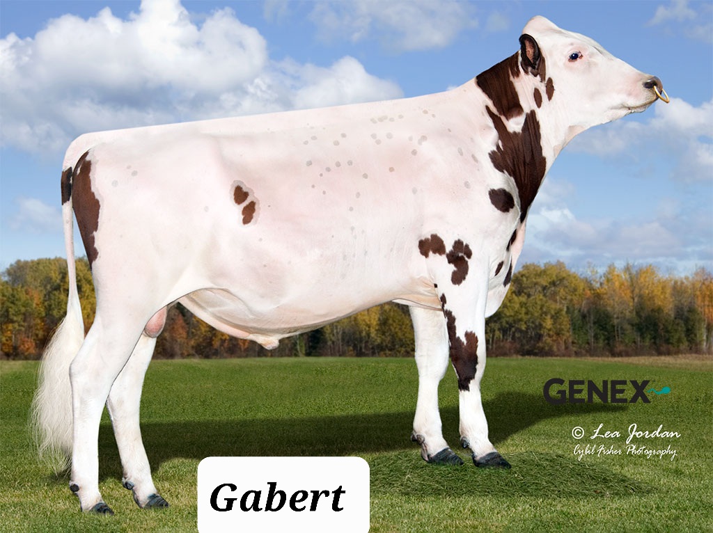 Gabert